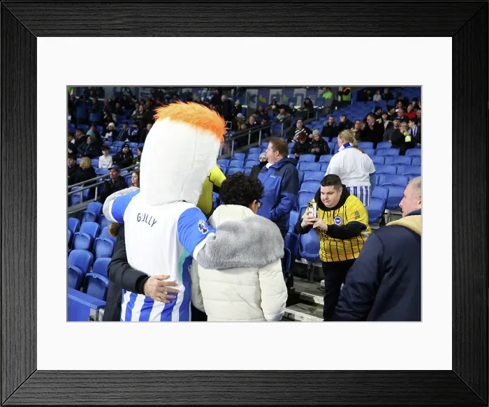 Framed Print : Brighton and Hove Albion v Bournemouth Premier League 19JAN26
