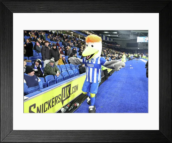 Framed Print : Brighton and Hove Albion v Bournemouth Premier League 19JAN26 Framed Print : Brighton and Hove Albion v Bournemouth Premier League 19JAN26