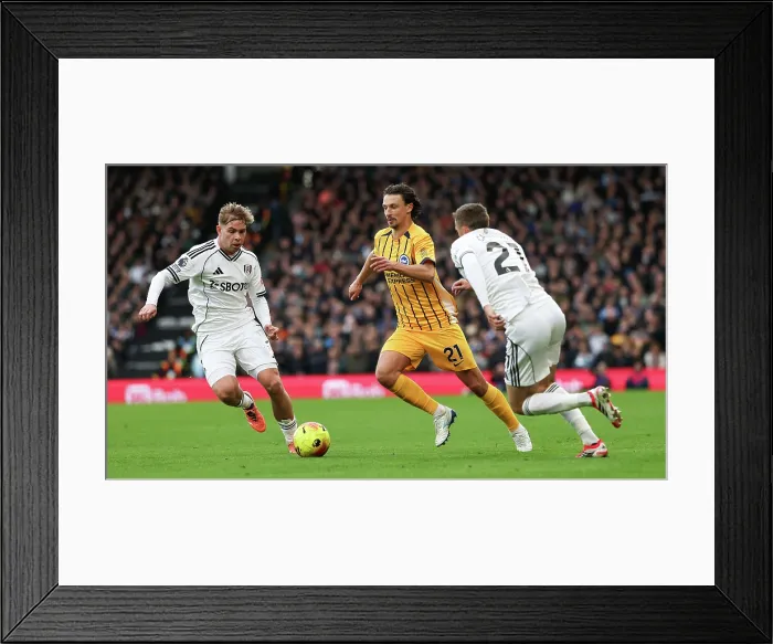 Framed Print : Fulham v Brighton and Hove Albion Premier League 24JAN26 Framed Print : Fulham v Brighton and Hove Albion Premier League 24JAN26