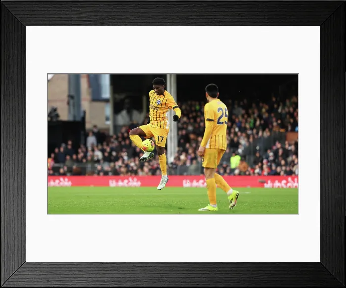 Framed Print : Fulham v Brighton and Hove Albion Premier League 24JAN26 Framed Print : Fulham v Brighton and Hove Albion Premier League 24JAN26