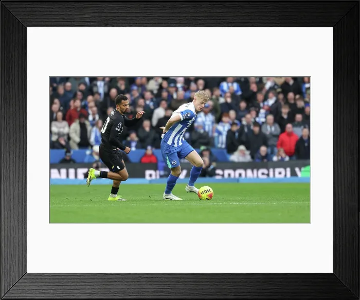 Framed Print : Brighton and Hove Albion v Everton Premier League 31JAN26 Framed Print : Brighton and Hove Albion v Everton Premier League 31JAN26