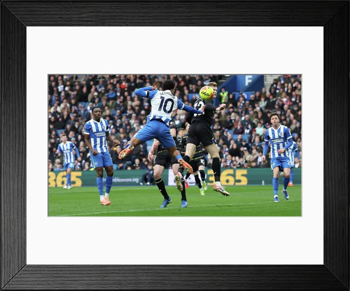 Framed Print : Brighton and Hove Albion v Everton Premier League 31JAN26 Framed Print : Brighton and Hove Albion v Everton Premier League 31JAN26