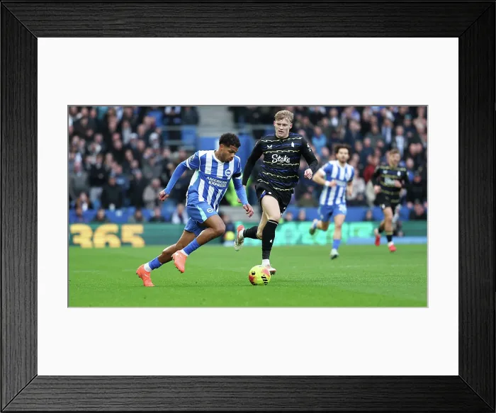 Framed Print : Brighton and Hove Albion v Everton Premier League 31JAN26 Framed Print : Brighton and Hove Albion v Everton Premier League 31JAN26