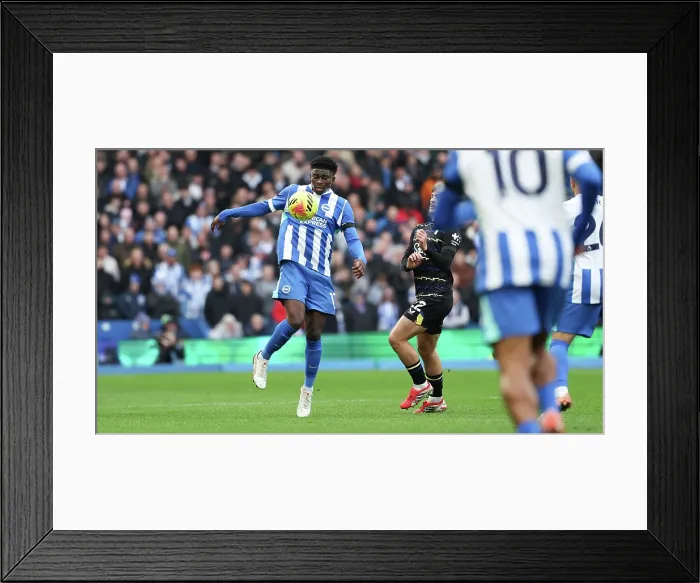 Framed Print : Brighton and Hove Albion v Everton Premier League 31JAN26 Framed Print : Brighton and Hove Albion v Everton Premier League 31JAN26