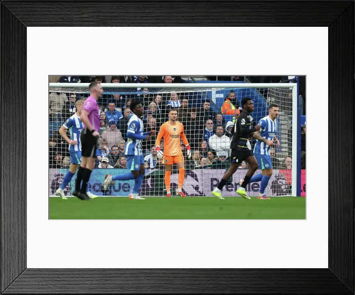 Framed Print : Brighton and Hove Albion v Everton Premier League 31JAN26 Framed Print : Brighton and Hove Albion v Everton Premier League 31JAN26
