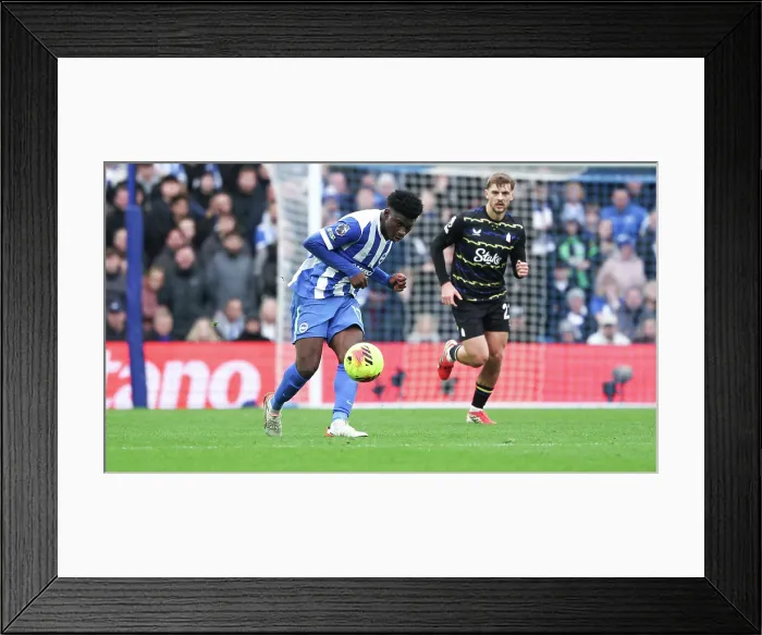 Framed Print : Brighton and Hove Albion v Everton Premier League 31JAN26 Framed Print : Brighton and Hove Albion v Everton Premier League 31JAN26