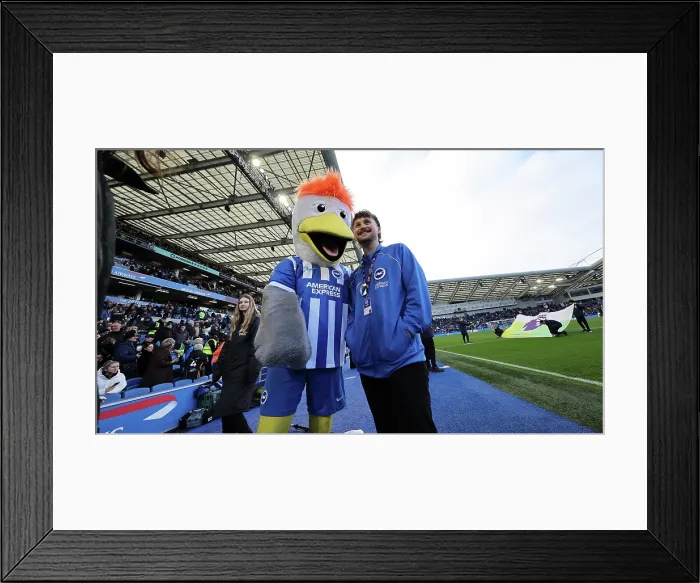 Framed Print : Brighton and Hove Albion v Everton Premier League 31JAN26 Framed Print : Brighton and Hove Albion v Everton Premier League 31JAN26