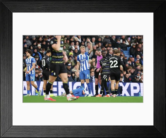 Framed Print : Brighton and Hove Albion v Everton Premier League 31JAN26 Framed Print : Brighton and Hove Albion v Everton Premier League 31JAN26