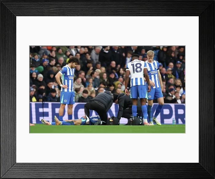 Framed Print : Brighton and Hove Albion v Everton Premier League 31JAN26