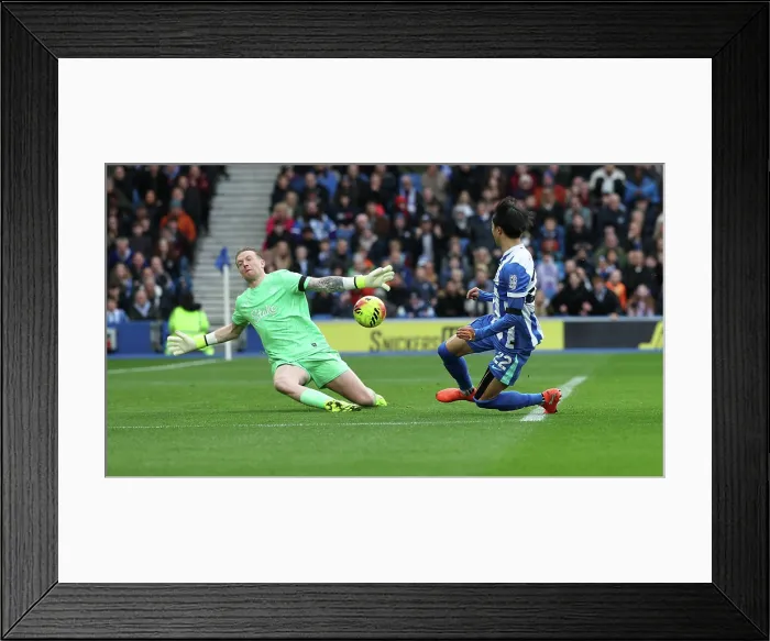 Framed Print : Brighton and Hove Albion v Everton Premier League 31JAN26