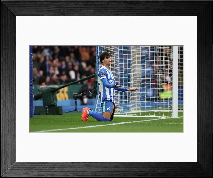 Framed Print : Brighton and Hove Albion v Everton Premier League 31JAN26 Framed Print : Brighton and Hove Albion v Everton Premier League 31JAN26