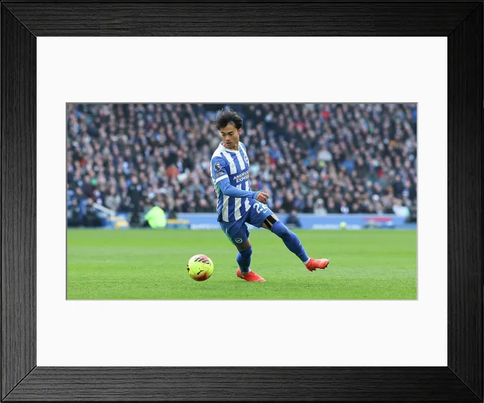 Framed Print : Brighton and Hove Albion v Everton Premier League 31JAN26 Framed Print : Brighton and Hove Albion v Everton Premier League 31JAN26