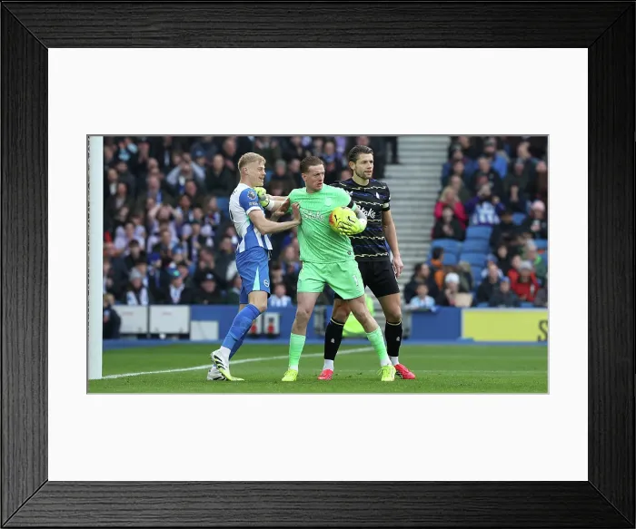 Framed Print : Brighton and Hove Albion v Everton Premier League 31JAN26 Framed Print : Brighton and Hove Albion v Everton Premier League 31JAN26