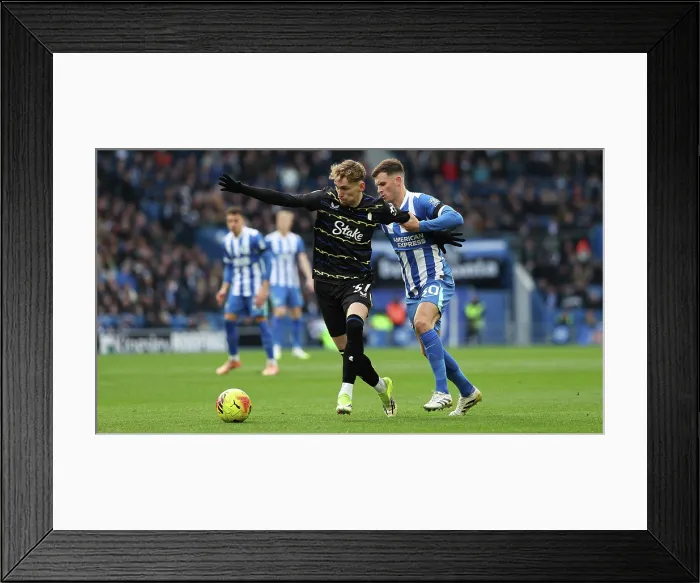 Framed Print : Brighton and Hove Albion v Everton Premier League 31JAN26 Framed Print : Brighton and Hove Albion v Everton Premier League 31JAN26