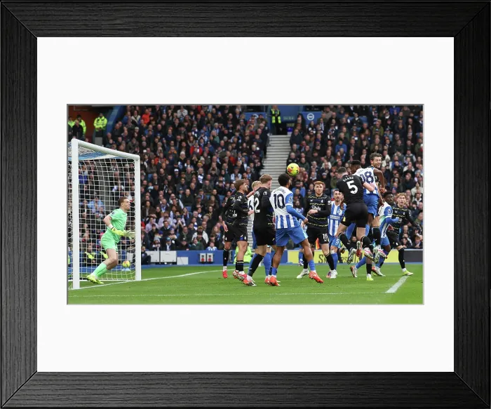 Framed Print : Brighton and Hove Albion v Everton Premier League 31JAN26 Framed Print : Brighton and Hove Albion v Everton Premier League 31JAN26
