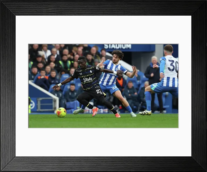 Framed Print : Brighton and Hove Albion v Everton Premier League 31JAN26