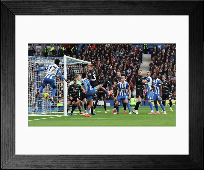 Framed Print : Brighton and Hove Albion v Everton Premier League 31JAN26 Framed Print : Brighton and Hove Albion v Everton Premier League 31JAN26