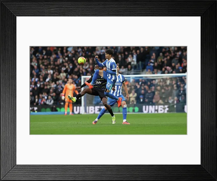 Framed Print : Brighton and Hove Albion v Everton Premier League 31JAN26