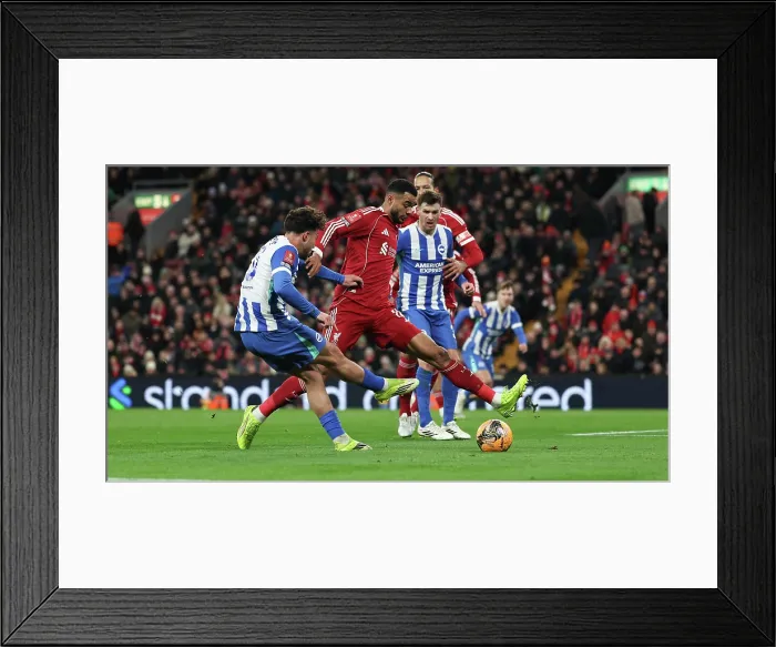 Framed Print : Liverpool v Brighton and Hove Albion FA Cup 14FEB26 Framed Print : Liverpool v Brighton and Hove Albion FA Cup 14FEB26