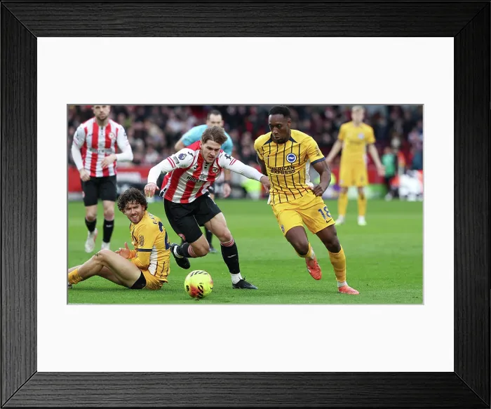 Framed Print : Brentford v Brighton and Hove Albion Premier League 21FEB26 Framed Print : Brentford v Brighton and Hove Albion Premier League 21FEB26
