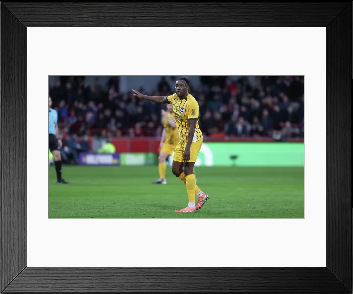 Framed Print : Brentford v Brighton and Hove Albion Premier League 21FEB26 Framed Print : Brentford v Brighton and Hove Albion Premier League 21FEB26