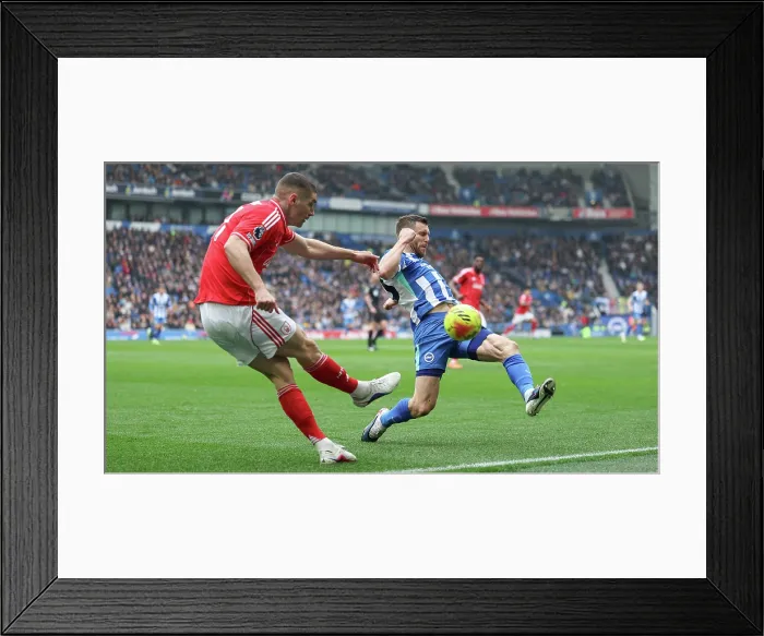 Framed Print : Brighton and Hove Albion v Nottingham Forest Premier League 01MAR26