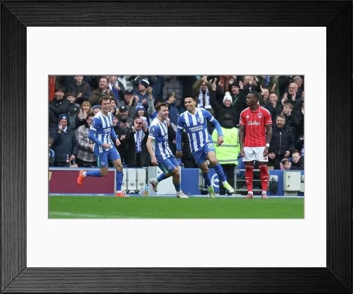 Framed Print : Brighton and Hove Albion v Nottingham Forest Premier League 01MAR26 Framed Print : Brighton and Hove Albion v Nottingham Forest Premier League 01MAR26
