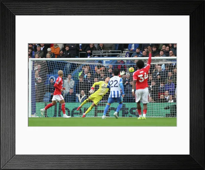 Framed Print : Brighton and Hove Albion v Nottingham Forest Premier League 01MAR26 Framed Print : Brighton and Hove Albion v Nottingham Forest Premier League 01MAR26