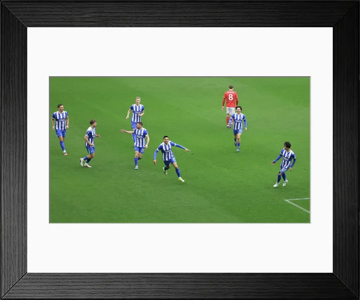 Framed Print : Brighton and Hove Albion v Nottingham Forest Premier League 01MAR26 Framed Print : Brighton and Hove Albion v Nottingham Forest Premier League 01MAR26