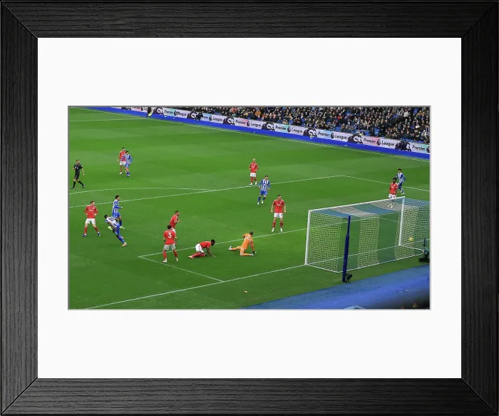 Framed Print : Brighton and Hove Albion v Nottingham Forest Premier League 01MAR26 Framed Print : Brighton and Hove Albion v Nottingham Forest Premier League 01MAR26