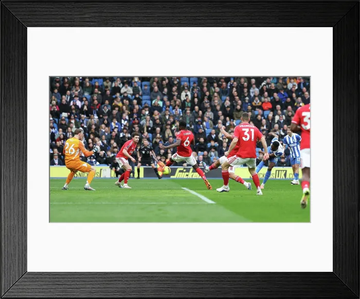 Framed Print : Brighton and Hove Albion v Nottingham Forest Premier League 01MAR26 Framed Print : Brighton and Hove Albion v Nottingham Forest Premier League 01MAR26