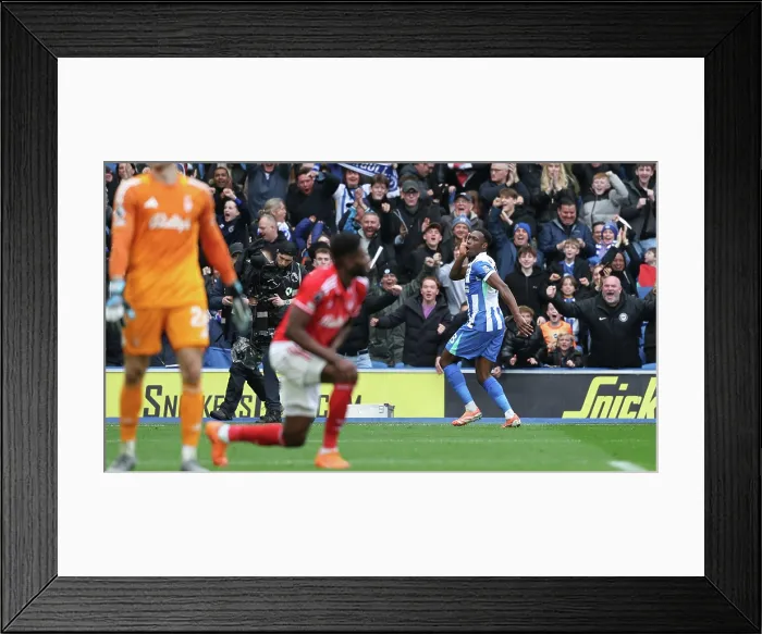 Framed Print : Brighton and Hove Albion v Nottingham Forest Premier League 01MAR26 Framed Print : Brighton and Hove Albion v Nottingham Forest Premier League 01MAR26