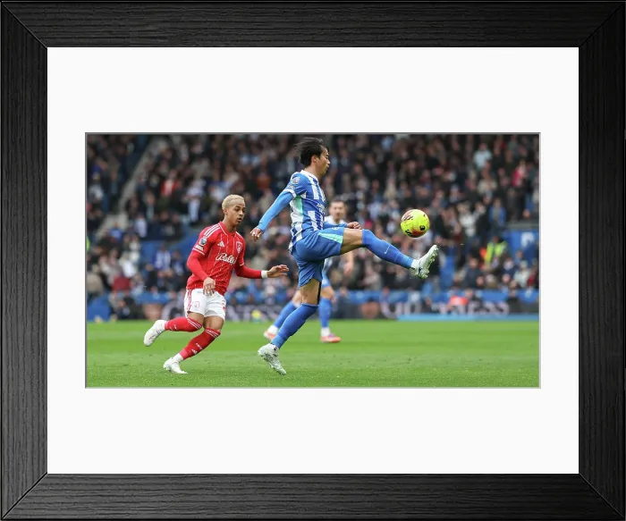 Framed Print : Brighton and Hove Albion v Nottingham Forest Premier League 01MAR26 Framed Print : Brighton and Hove Albion v Nottingham Forest Premier League 01MAR26