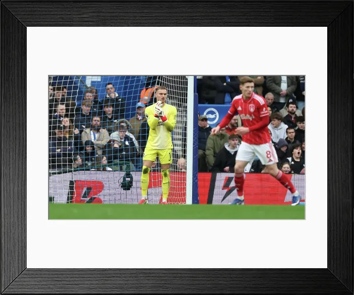 Framed Print : Brighton and Hove Albion v Nottingham Forest Premier League 01MAR26