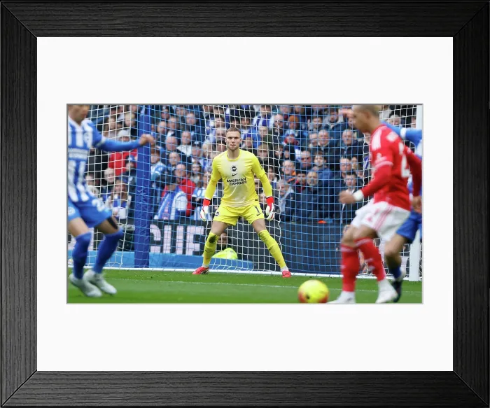 Framed Print : Brighton and Hove Albion v Nottingham Forest Premier League 01MAR26