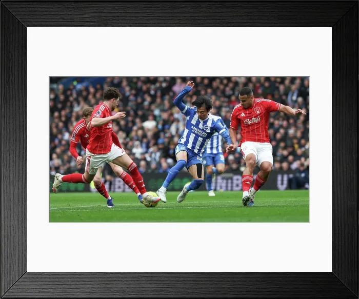 Framed Print : Brighton and Hove Albion v Nottingham Forest Premier League 01MAR26 Framed Print : Brighton and Hove Albion v Nottingham Forest Premier League 01MAR26