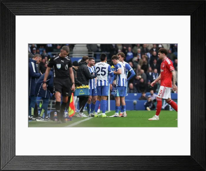 Framed Print : Brighton and Hove Albion v Nottingham Forest Premier League 01MAR26 Framed Print : Brighton and Hove Albion v Nottingham Forest Premier League 01MAR26
