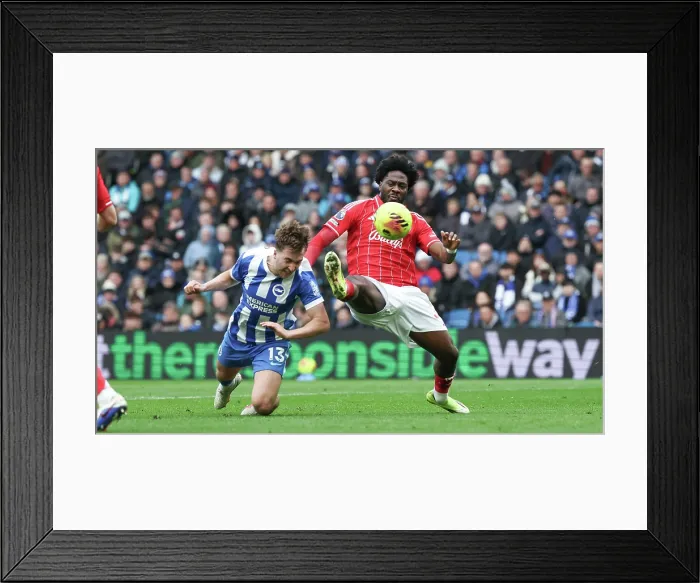 Framed Print : Brighton and Hove Albion v Nottingham Forest Premier League 01MAR26 Framed Print : Brighton and Hove Albion v Nottingham Forest Premier League 01MAR26