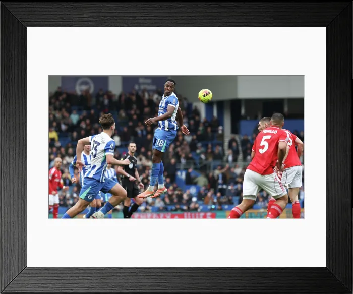 Framed Print : Brighton and Hove Albion v Nottingham Forest Premier League 01MAR26 Framed Print : Brighton and Hove Albion v Nottingham Forest Premier League 01MAR26