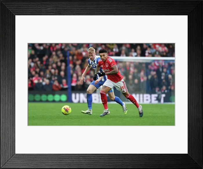 Framed Print : Brighton and Hove Albion v Nottingham Forest Premier League 01MAR26 Framed Print : Brighton and Hove Albion v Nottingham Forest Premier League 01MAR26