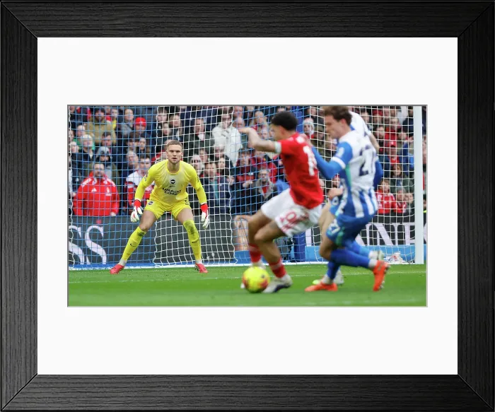 Framed Print : Brighton and Hove Albion v Nottingham Forest Premier League 01MAR26 Framed Print : Brighton and Hove Albion v Nottingham Forest Premier League 01MAR26