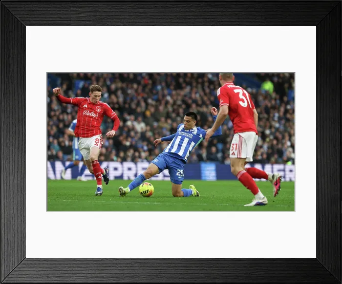 Framed Print : Brighton and Hove Albion v Nottingham Forest Premier League 01MAR26