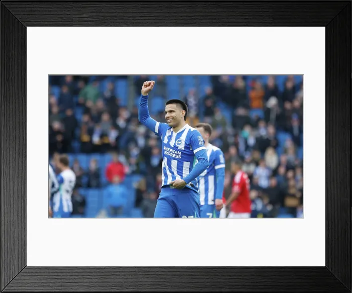 Framed Print : Brighton and Hove Albion v Nottingham Forest Premier League 01MAR26 Framed Print : Brighton and Hove Albion v Nottingham Forest Premier League 01MAR26