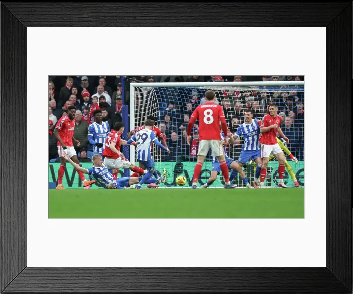 Framed Print : Brighton and Hove Albion v Nottingham Forest Premier League 01MAR26 Framed Print : Brighton and Hove Albion v Nottingham Forest Premier League 01MAR26