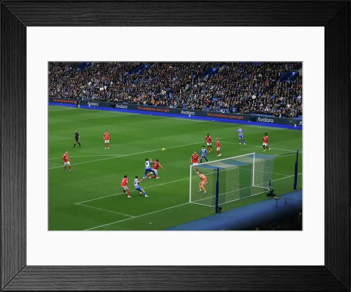 Framed Print : Brighton and Hove Albion v Nottingham Forest Premier League 01MAR26