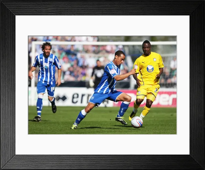 Framed Print : Brighton & Hove Albion vs. Sheffield Wednesday: 2010-11 Home Game