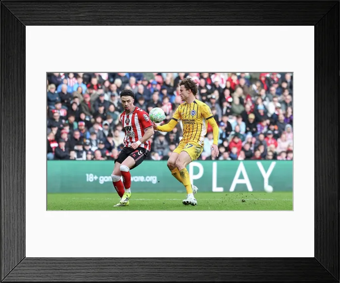Framed Print : Sunderland v Brighton and Hove Albion Premier League 14MAR26