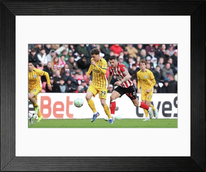 Framed Print : Sunderland v Brighton and Hove Albion Premier League 14MAR26 Framed Print : Sunderland v Brighton and Hove Albion Premier League 14MAR26