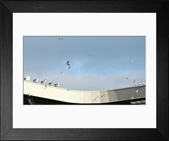 Framed Print : Sunderland v Brighton and Hove Albion Premier League 14MAR26 Framed Print : Sunderland v Brighton and Hove Albion Premier League 14MAR26