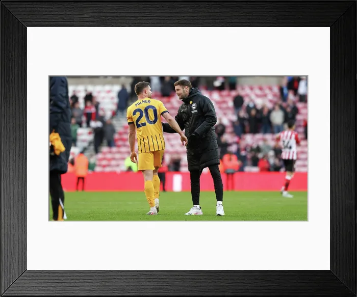 Framed Print : Sunderland v Brighton and Hove Albion Premier League 14MAR26